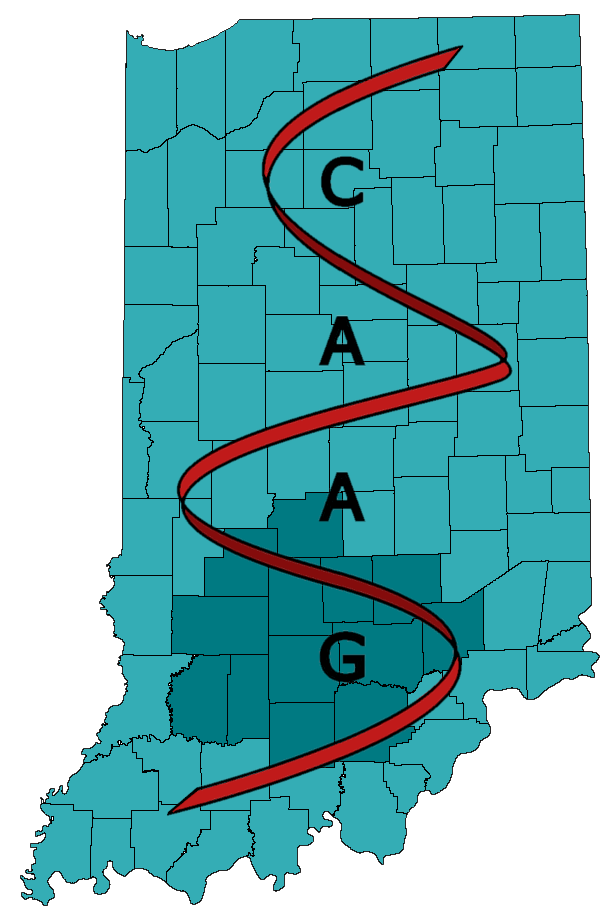 Community Aids Action Group